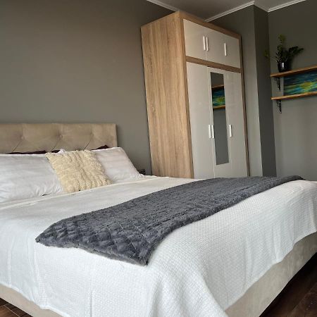 Otium Apartment 克卢日-纳波卡 外观 照片